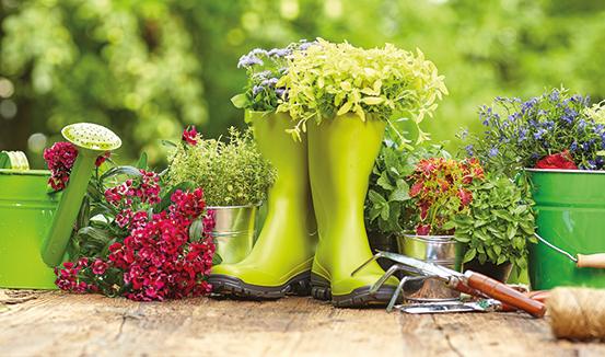 Gardening and Maintenance Services across Somerset