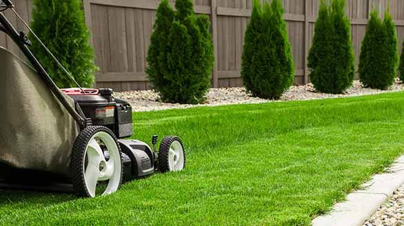 Somerset Gardening